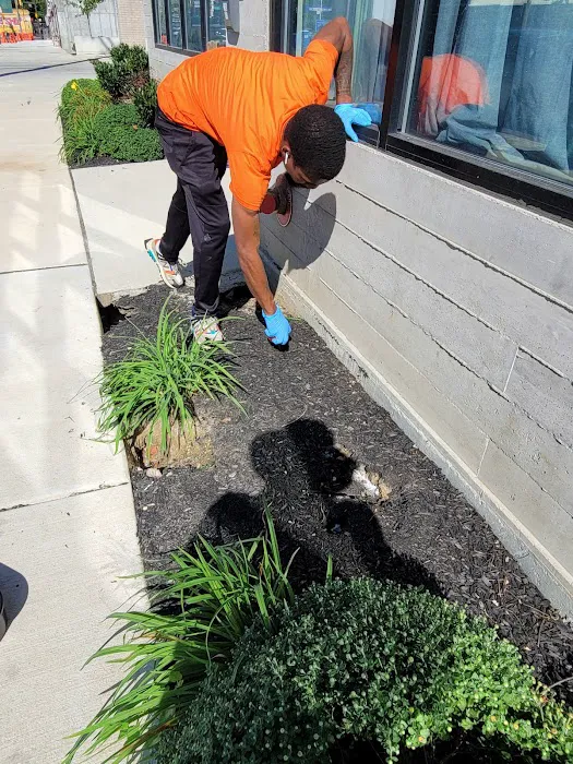 Fowler Pest Solutions Picture 9