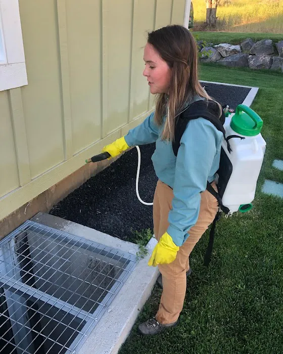 Pointe Pest Control Picture 9