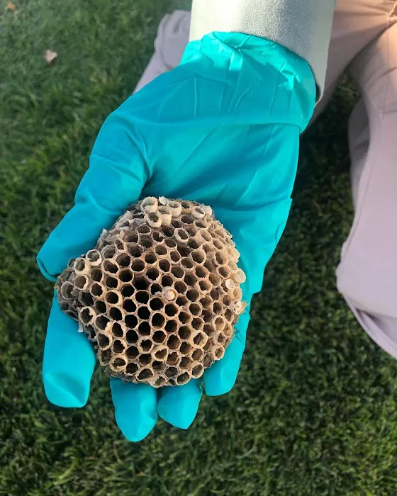 Pointe Pest Control Picture 1