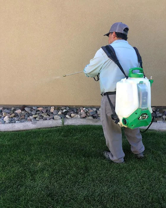 Pointe Pest Control Picture 10