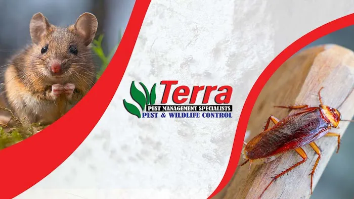 Terra Pest Management Specialists Picture 8