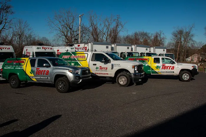 Terra Pest Management Specialists Picture 2
