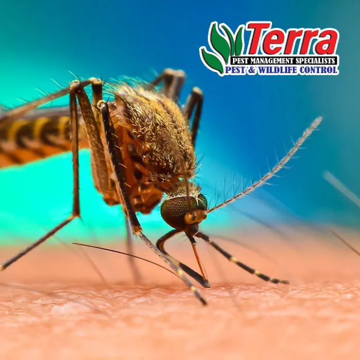 Terra Pest Management Specialists Picture 10