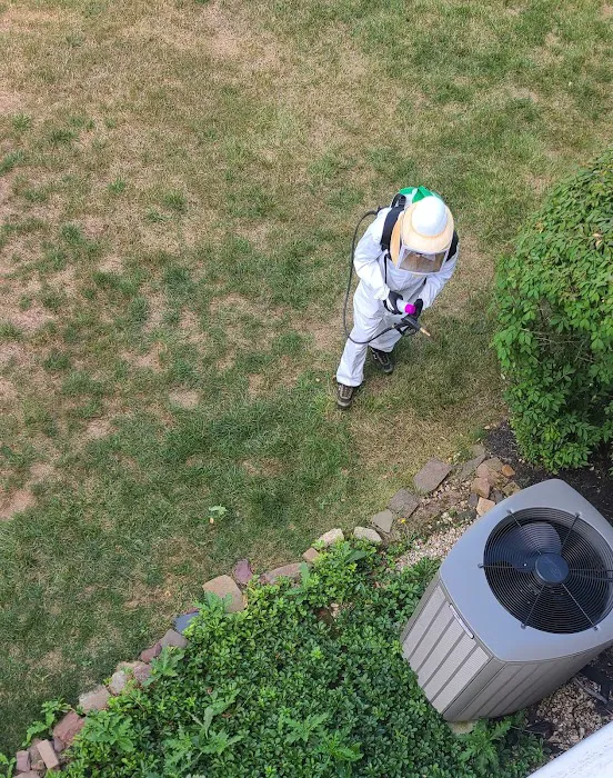 Moxie Pest Control Picture 7