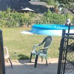 Moxie Pest Control