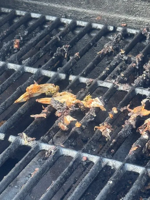 Moxie Pest Control Picture 3