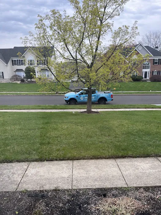Moxie Pest Control Picture 2