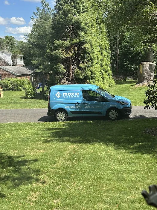 Moxie Pest Control Picture 6