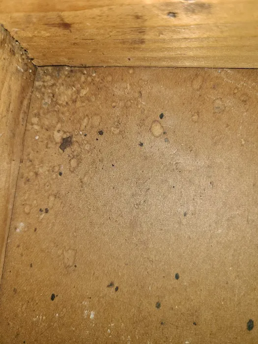 M.A.D. Exterminators Inc. Picture 8
