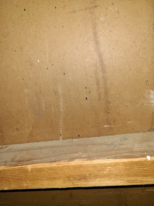 M.A.D. Exterminators Inc. Picture 10