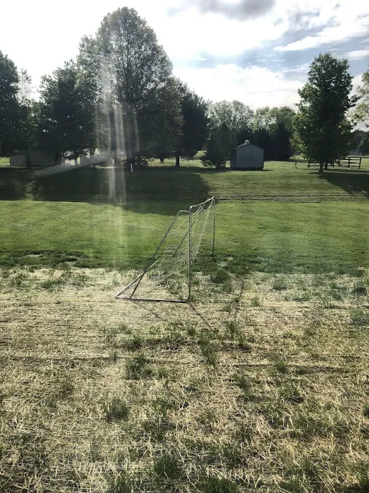 Ned's Lawn and Pest Control Picture 2