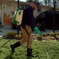 Ned's Lawn and Pest Control ico