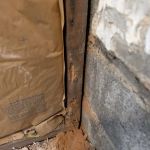 TermiPro Pest Management Specialist