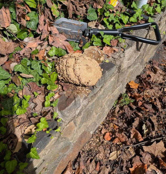 TermiPro Pest Management Specialist Picture 10