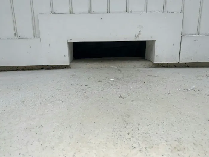 LBI Pest Control Picture 4