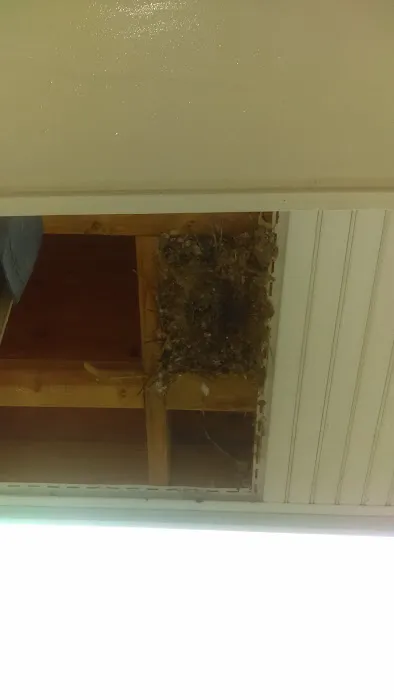 LBI Pest Control Picture 3