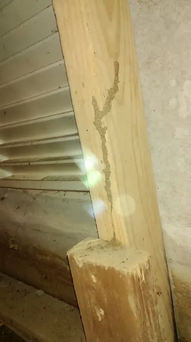LBI Pest Control Picture 1