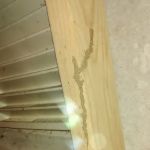 LBI Pest Control
