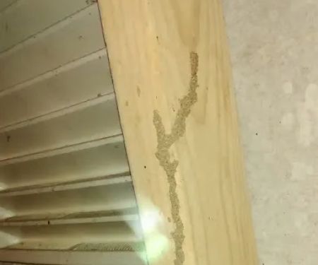 LBI Pest Control