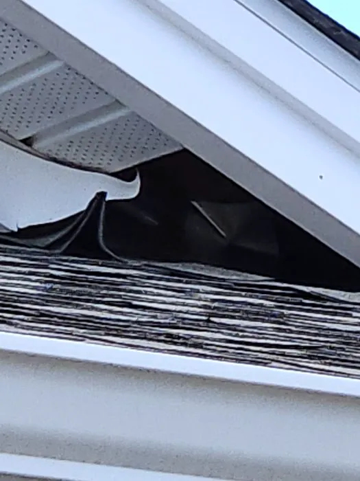 Nature Boy Pest Control LLC Picture 3