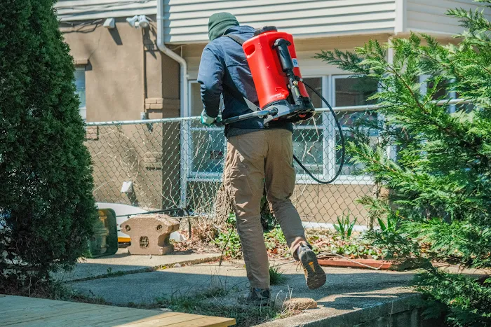 For-Shore Weed Control Picture 4