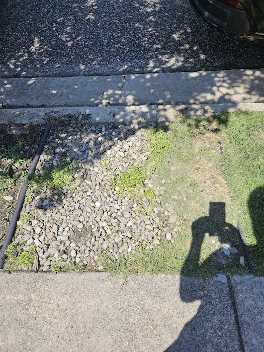 For-Shore Weed Control Picture 9