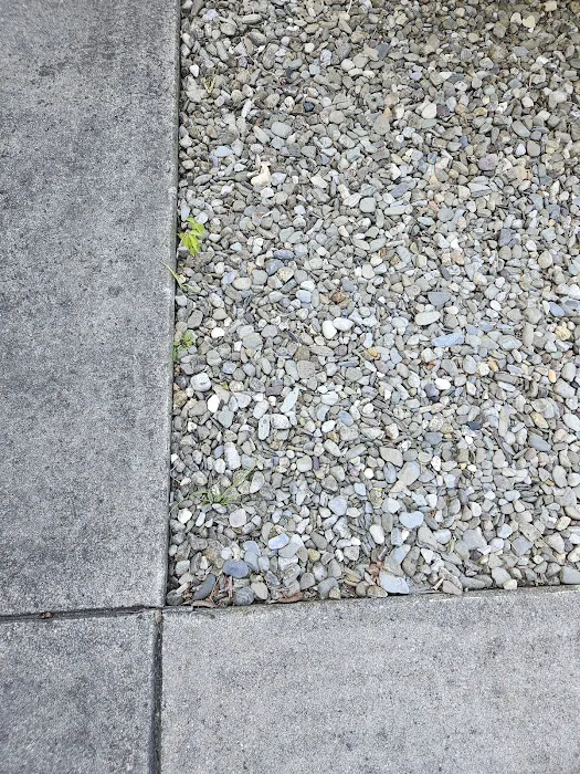 For-Shore Weed Control Picture 8