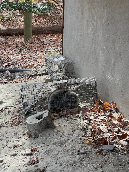 GenExt: General Extermination & Pest Control LLC Picture 2