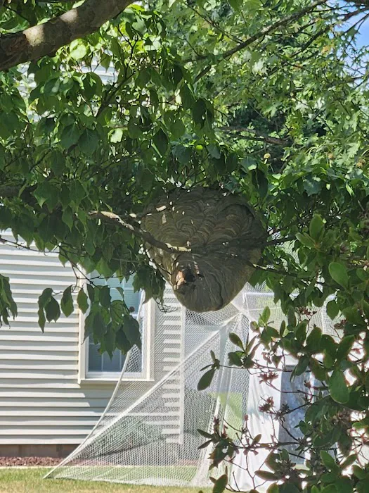 GenExt: General Extermination & Pest Control LLC Picture 5