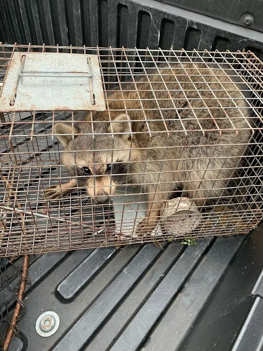 GenExt: General Extermination & Pest Control LLC Picture 3