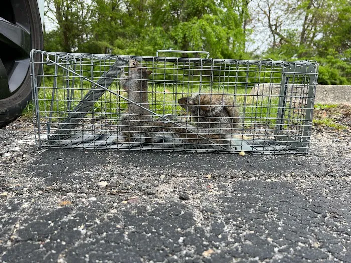 GenExt: General Extermination & Pest Control LLC Picture 10