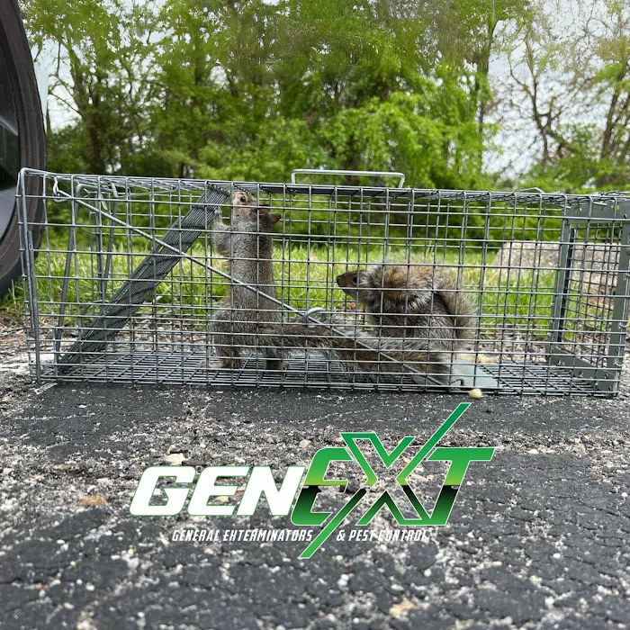 GenExt: General Extermination & Pest Control LLC Picture 6