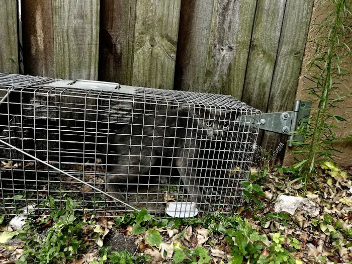 WardOff & Son Exterminating and Small Animal Control Picture 3