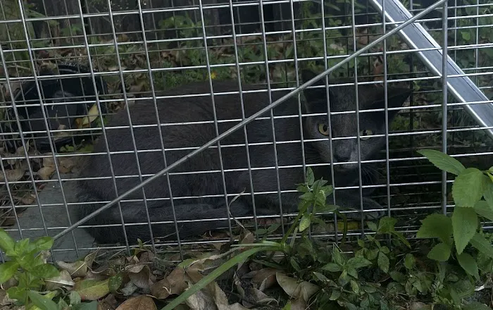 WardOff & Son Exterminating and Small Animal Control Picture 1