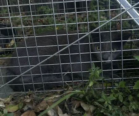 WardOff & Son Exterminating and Small Animal Control