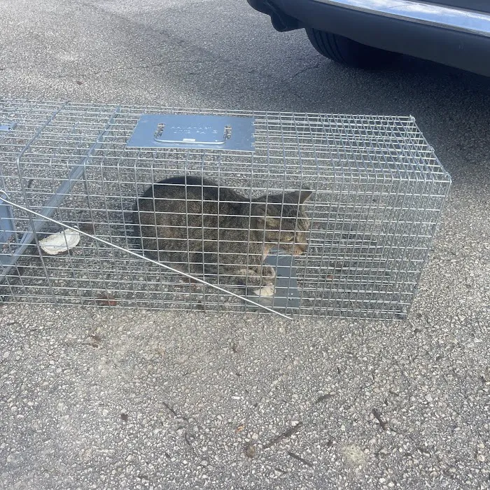 WardOff & Son Exterminating and Small Animal Control Picture 9