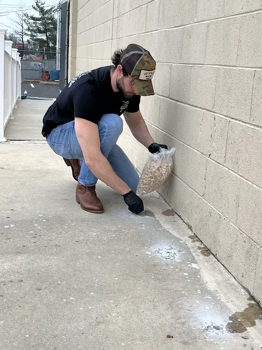 WardOff & Son Exterminating and Small Animal Control Picture 5