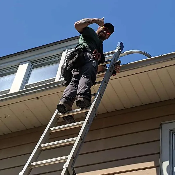 UFO Nuisance Wildlife Control, LLC Picture 7