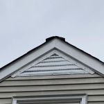 UFO Nuisance Wildlife Control, LLC