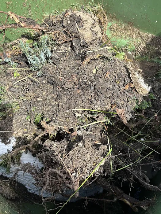 NJ Pest Control New Jersey Picture 7