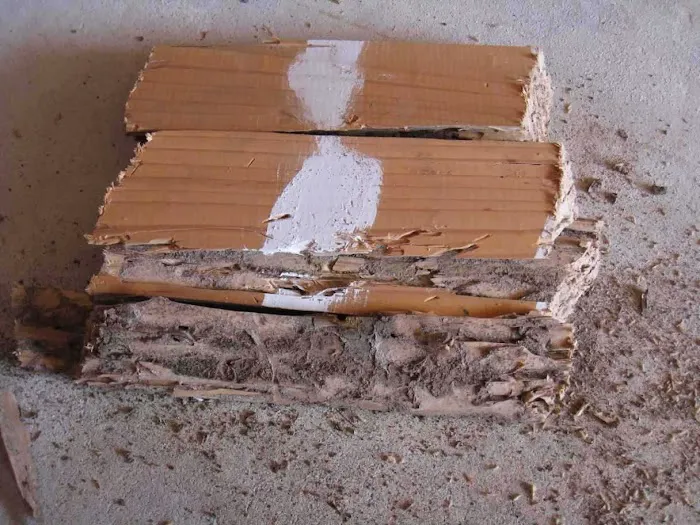 AB-CON Termite and Pest Control Picture 2