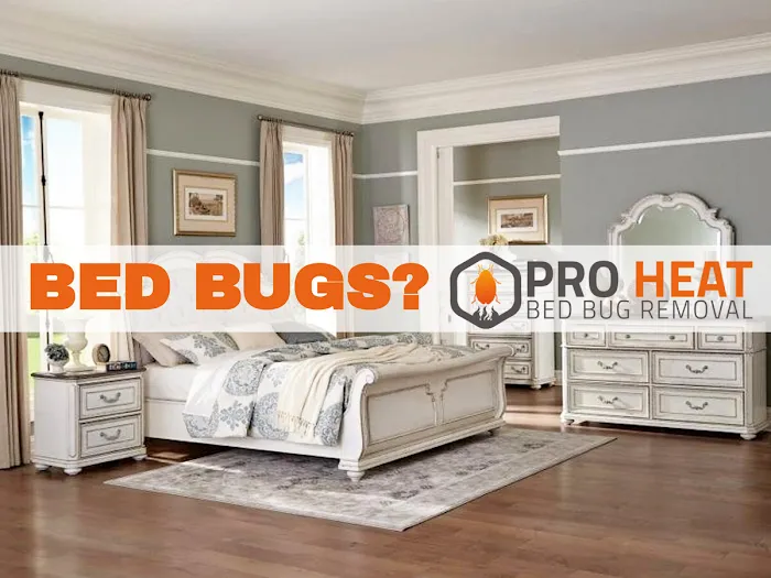 Pro Heat Bed Bug Removal Picture 7