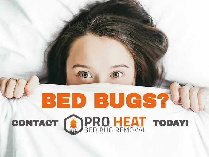 Pro Heat Bed Bug Removal Picture 8