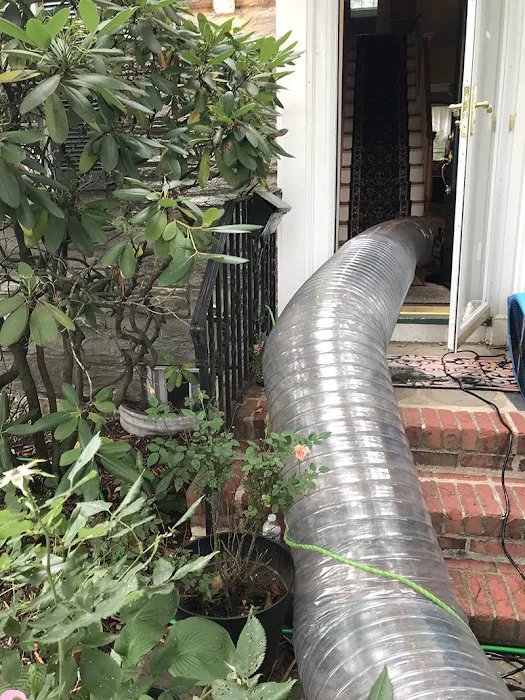 Pro Heat Bed Bug Removal Picture 3