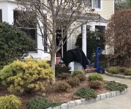 Pro Heat Bed Bug Removal