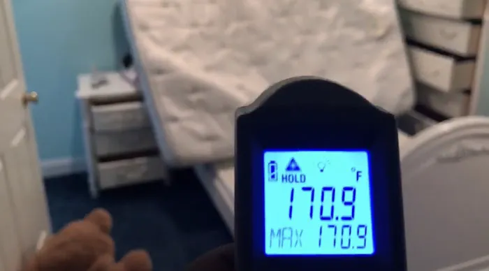 Pro Heat Bed Bug Removal Picture 5
