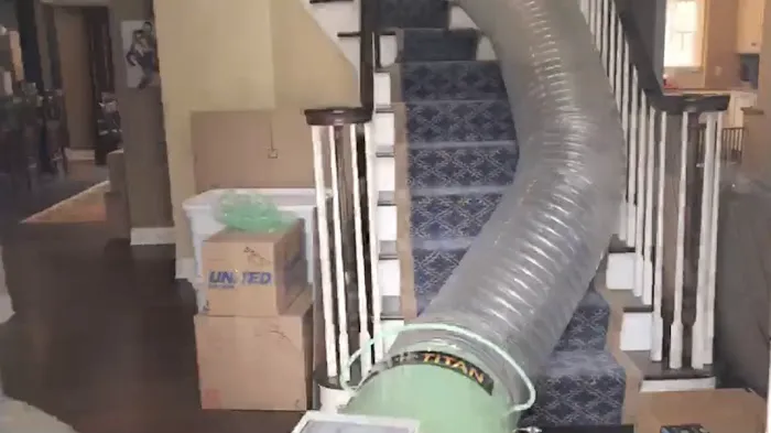 Pro Heat Bed Bug Removal Picture 4