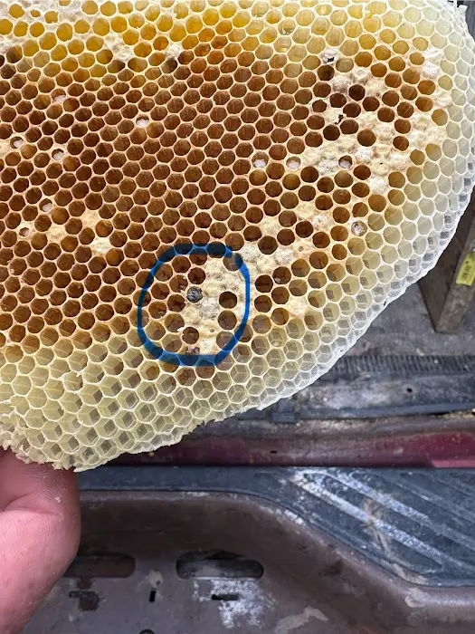 Liberty Bell Beekeepers Picture 9