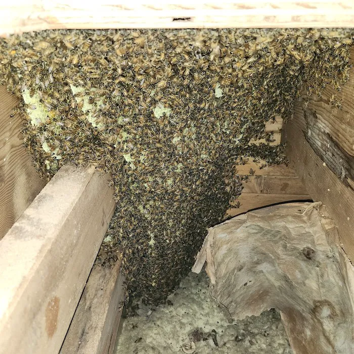Liberty Bell Beekeepers Picture 4