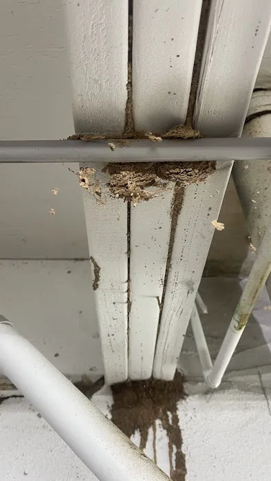 LizExterminator co. LLC Picture 9